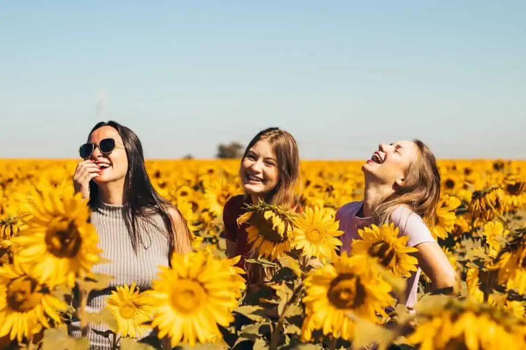 Drei lachende Frauen in einem Sonnenblumenfeld