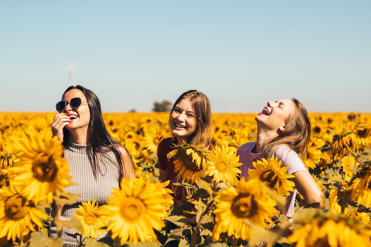 Sonnenblumenfreunde