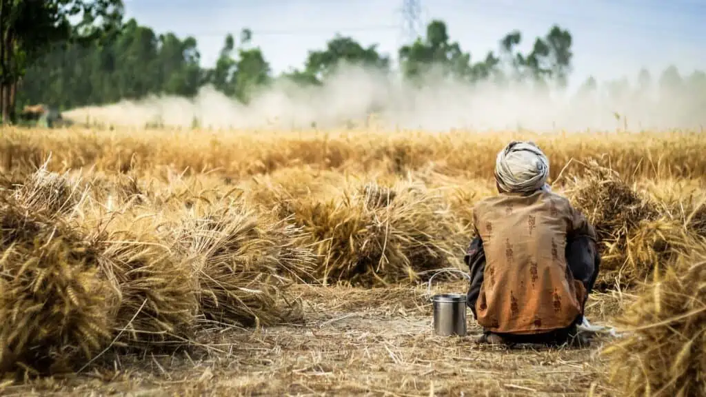 Farmer auf einem Feld zur Ernte