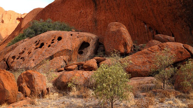 Im Outback Australiens