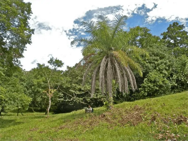 Blick auf die Finca