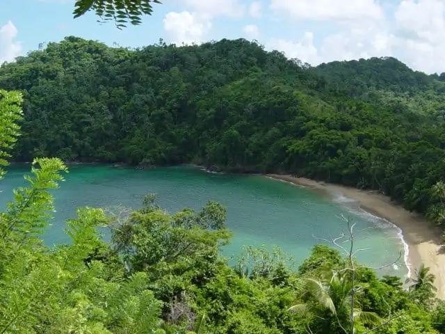 Tobago Charlotteville