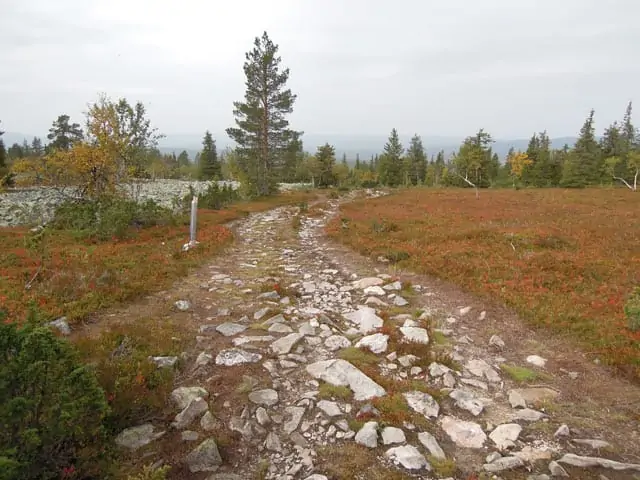 Wildpfad in Lappland