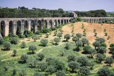 Olivenbäume vor einem antiken Aquedukt
