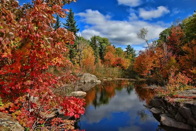 Kanadische Wälder im Herbst