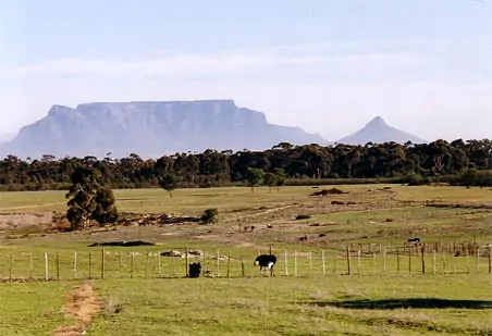 Der Tafelberg