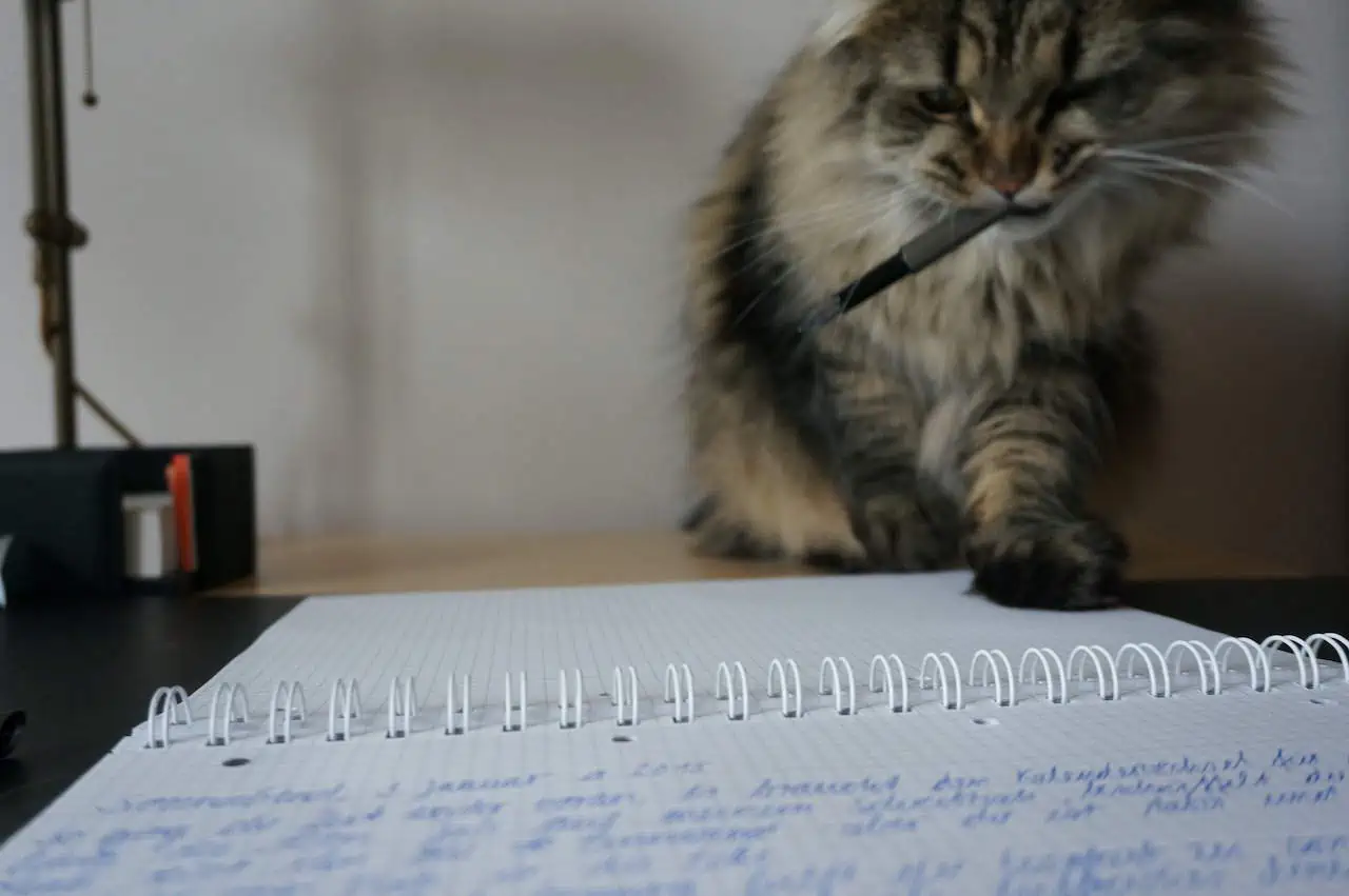 Katze mit Stift im Maul