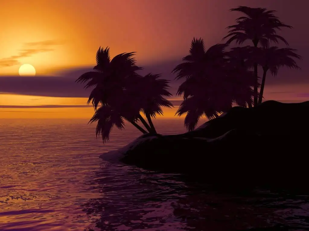 Sonnenuntergang auf einer Palmeninsel